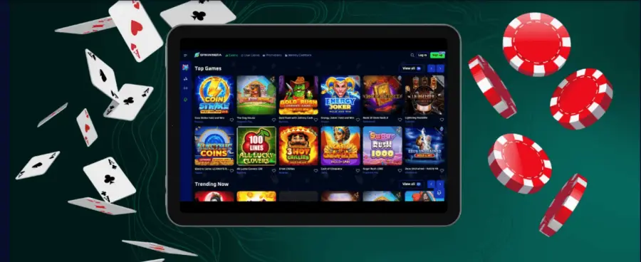 Spin winera app